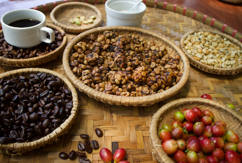 blak-blakan-tentang-6-kebaikan-kopi-luwak