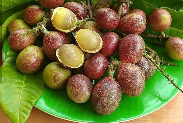 7-kebaikan-buah-matoa-si-eksotis-yang-bernutrisi
