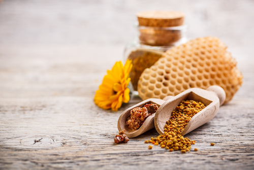 mengulas-tentang-propolis-fakta-apa-aja-sih-dibaliknya