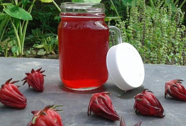 tutorial-membuat-sirup-rosella-cita-rasanya-bikin-tergila-gila