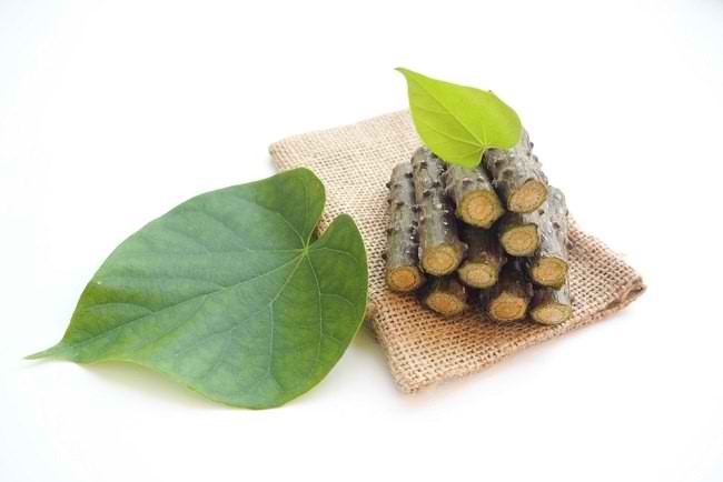 6 Jamu Bau Badan Wanita, Super Duper AMPUH!