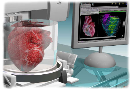 3D bio printer, printer yang bisa mencetak organ tubuh manusia