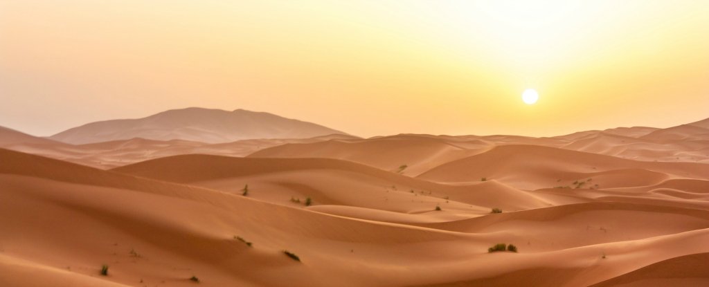 Mengerikan, 50 Tahun ke depan Bumi terancam dengan iklim panas layaknya Sahara.