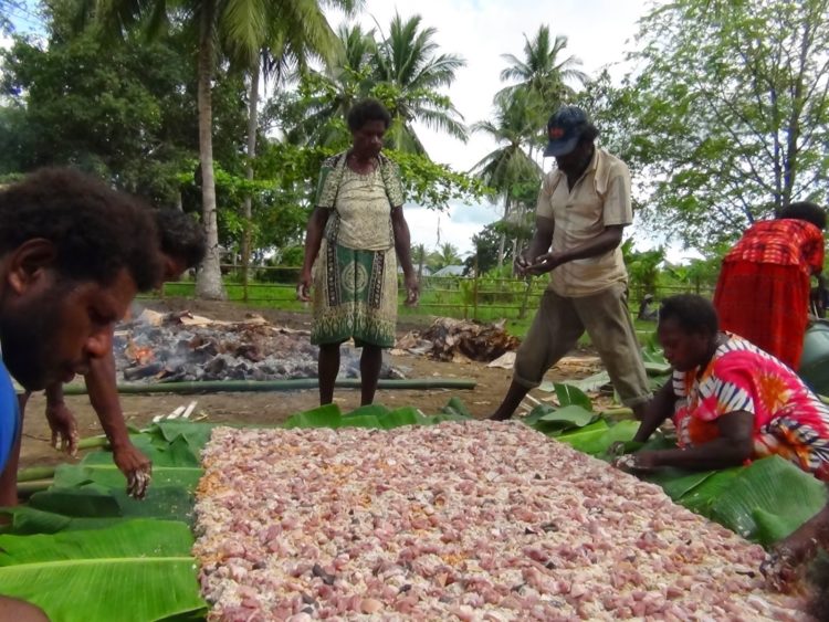 &#91;Coc Reg. Papua&#93; Mengenal Lebih Dekat tentang Merauke Serta Keunikannya