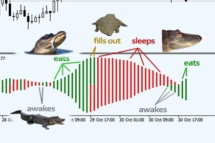 Cara Menggunakan Indikator Gator Oscillator