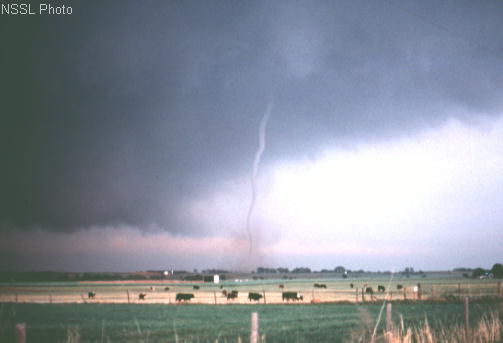 Foto-foto Tornado yang Mengagumkan