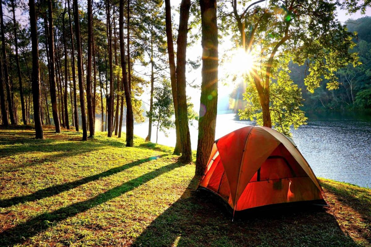 Intip 6 Tips Wisata Murah ke Swiss