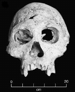 kaskus-image