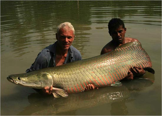 Ikan purba yang masih exist sampai sekarang