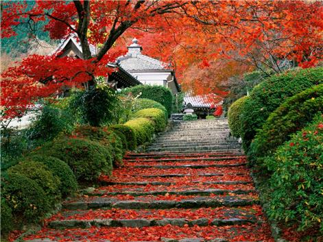 Pengalaman Mahasiswi Indonesia Kuliah &amp; Puasa Ramadhan Di Negeri Sakura Jepang