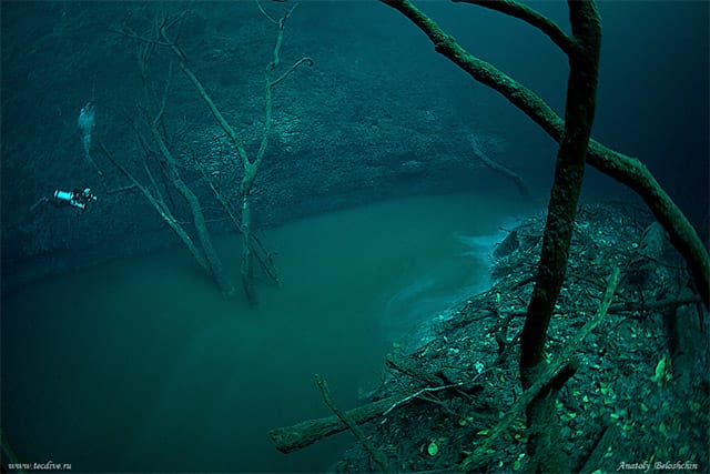 Aneh Tapi Nyata, di Meksiko Ada Sungai di Dalam Air