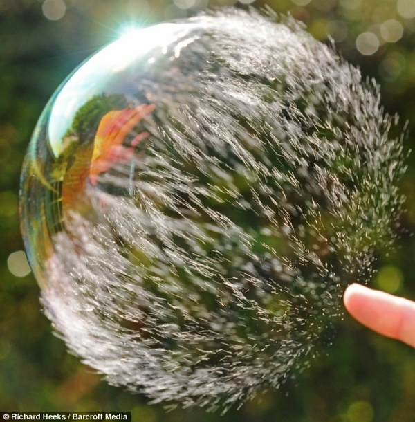 &#91;PIC&#93; Capture Slowmotion Yang Menakjubkan