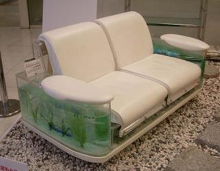 Aquariumnya Sesuatu Banget! 