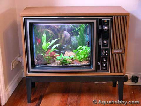 Aquariumnya Sesuatu Banget! 