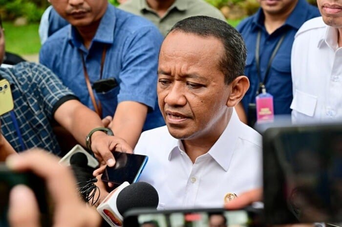 Freeport Hentikan Tambang: Pendapatan Negara Turun, Pekerja Masih Dicari