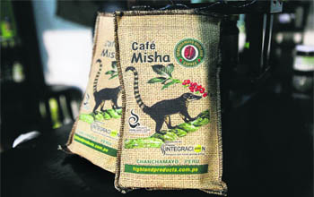 &#91;Kopi unik dunia&#93; Kopi yang berasal dari percernaan hewan