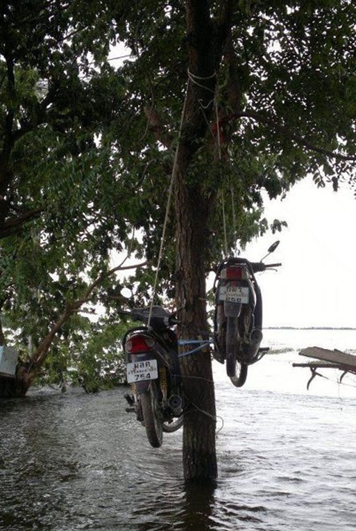 &#91;SOLUSI BANJIR?&#93; NIH CARA-CARA ASIK ORANG THAILAND NGADEPIN BANJIR !