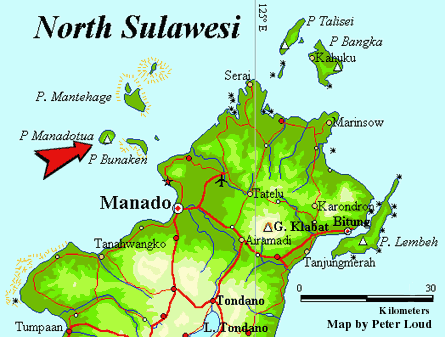 mengenal-beberapa-hewan-purba-dari-pokemon