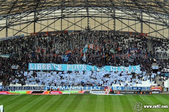 Koreo Kertas dan Kibaran Giant Flag Supporter Dunia