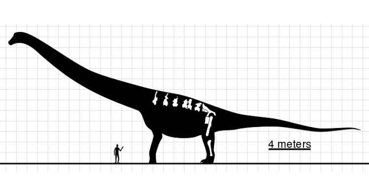 5 Fakta Tentang Dinosaurus Yang Masih Sedikit Orang Tau