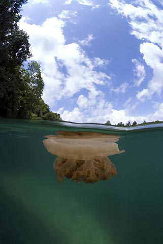 10-danau-paling-ekstrim--aneh-di-dunia-termasuk-di-indonesia