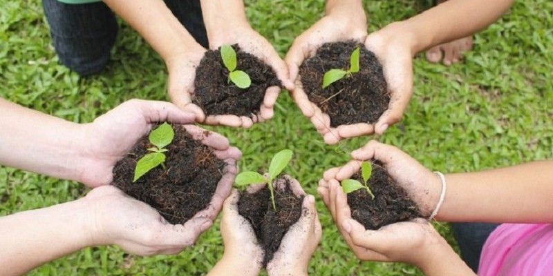 Akhir Pekan di Rumah Saja? Berkebun Kuy