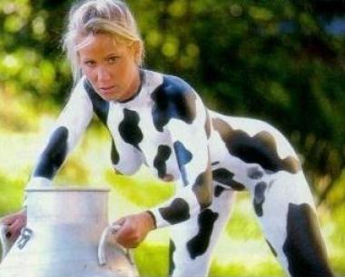 KPK supervisi kasus dugaan korupsi proyek sapi 