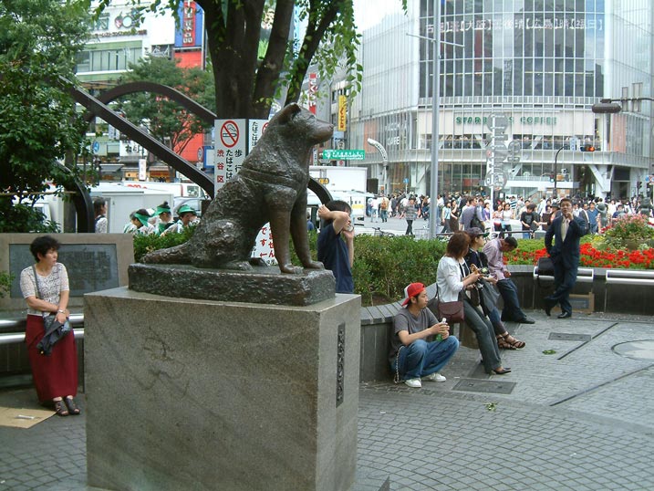 Tips untuk Menikmati Shibuya Crossing yang Ikonik