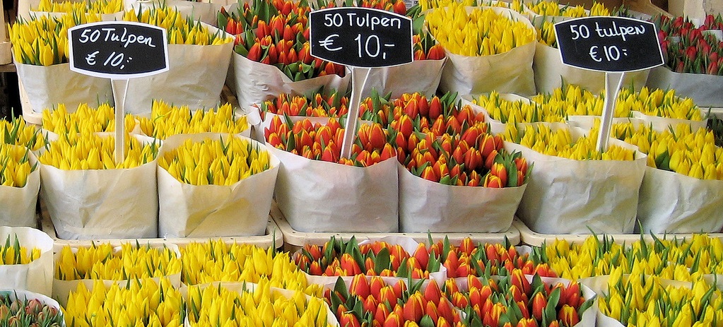 Indahnya Warna-Warni di Pasar Bunga Bloemenmarkt, Amsterdam