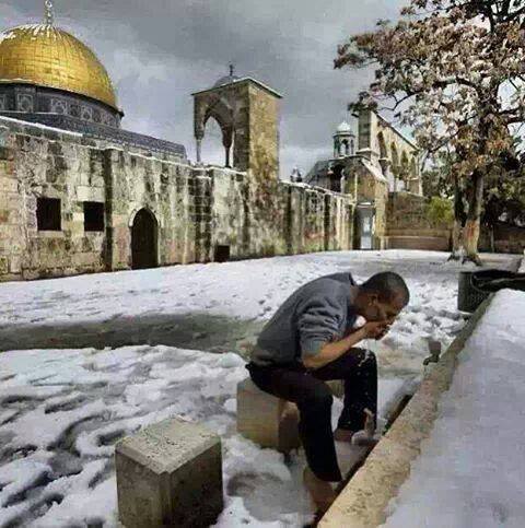 Arab Turun Salju (+pics)