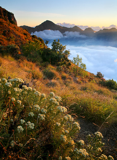 &#91;TRAVELISTA&#93; Menggapai Puncak Sang Dewi Anjani, Rinjani.