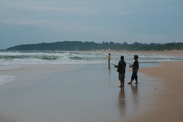 &#91;Travelista&#93; Bercengkrama dengan penyu Ujung Genteng