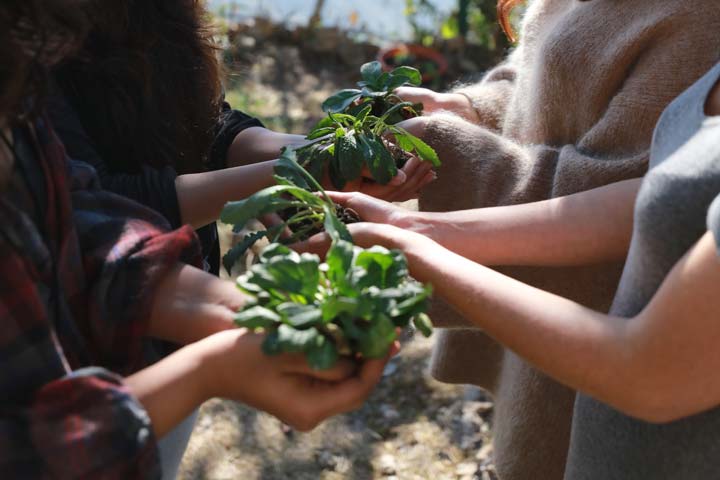 Social Enterprise : Solusi Untuk Melawan Berbagi Isu Sosial