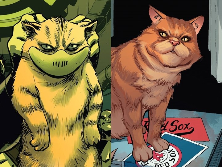  Fakta Tentang Goose Si Kucing Alien di Captain Marvel !