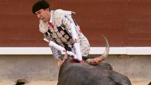 Nahas, Testikel Matador di Madrid Ditanduk Banteng Hingga Robek