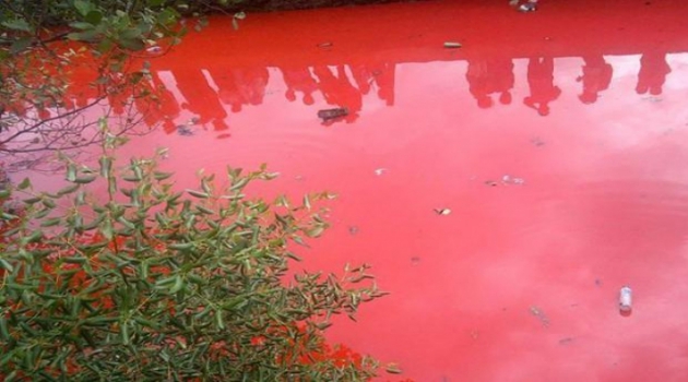air-sungai-di-pesantren-kediri-jadi-merah-layaknya-darah