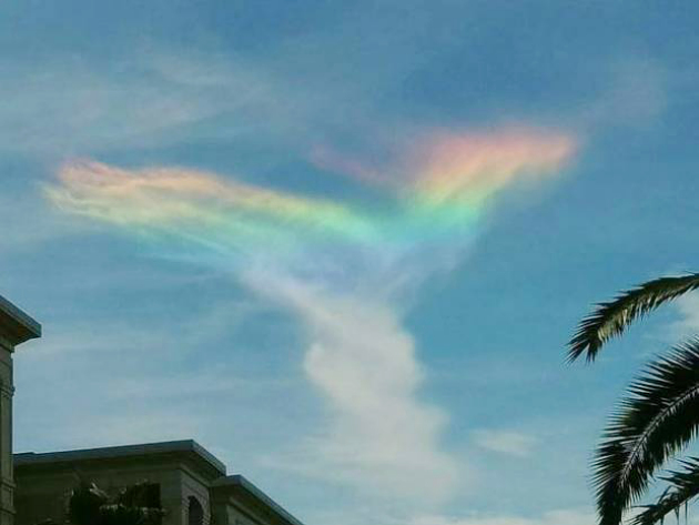 Ada Penampakan Pelangi Api Langka di Atas Langit Carolina Selatan