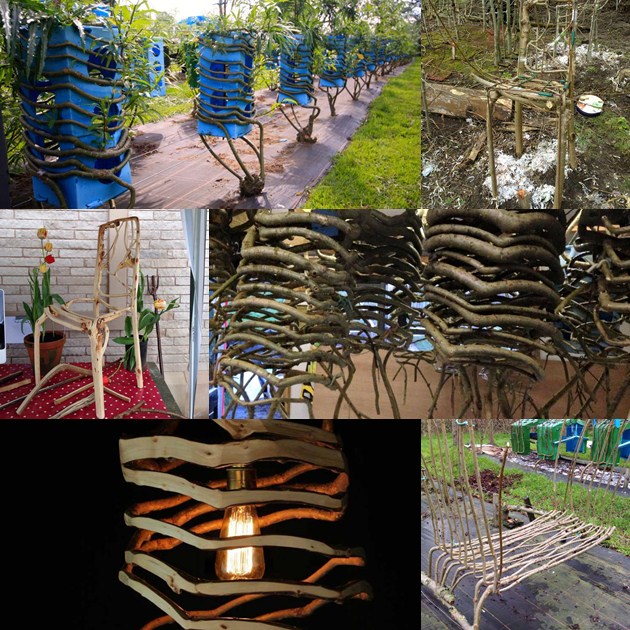 &#91;KEREN&#93; Pria Ini Membuat Furniture Dari Pohon Hidup