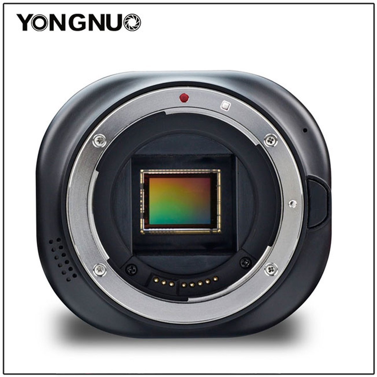 yongnuo-yn43-kamera-modular-yang-mendukung-lensa-canon-dan-nikon