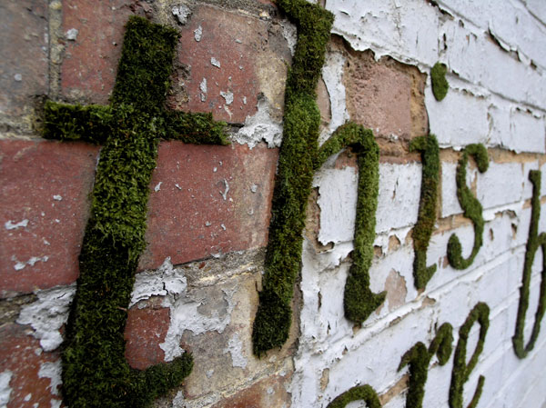 MOSS GRAFFITI,Seni Graffiti yang Terbuat dari Lumut !