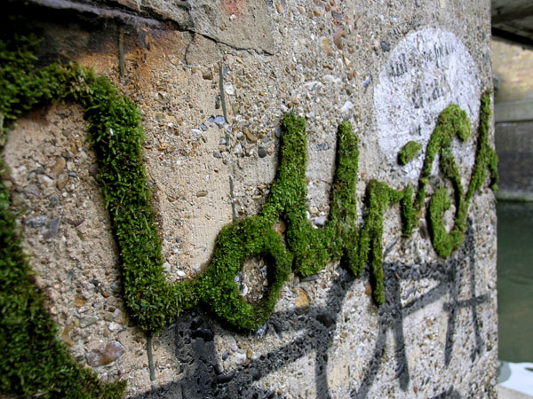 MOSS GRAFFITI,Seni Graffiti yang Terbuat dari Lumut !