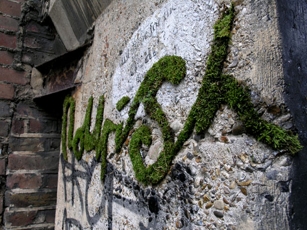 MOSS GRAFFITI,Seni Graffiti yang Terbuat dari Lumut !