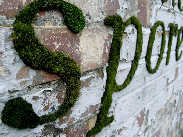 MOSS GRAFFITI,Seni Graffiti yang Terbuat dari Lumut !