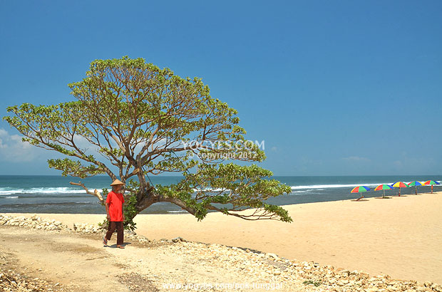 Eksotisme Keindahan Pesisir Selatan Gunungkidul YOGYAKARTA