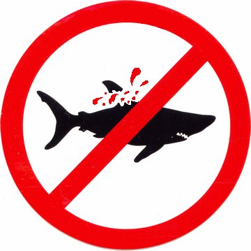 Ikan Hiu, Predator yang Terancam Punah.