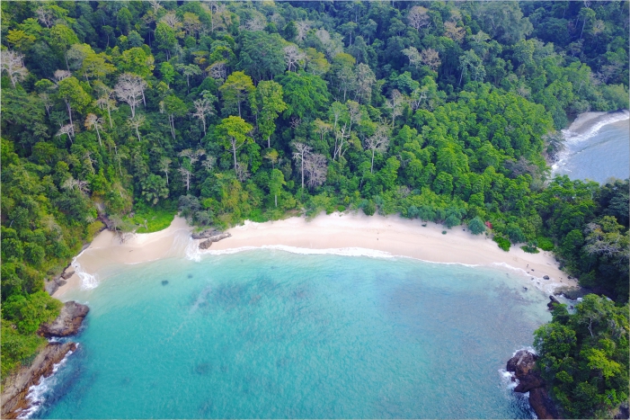 Teluk Ijo, Surga Tersembunyi di Tengah Belantara Taman Nasional Meru Betiri