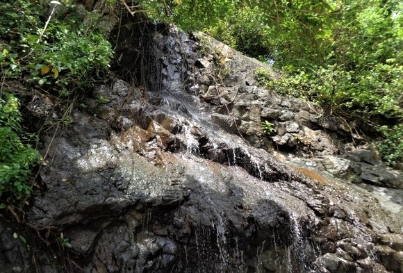 Teluk Ijo, Surga Tersembunyi di Tengah Belantara Taman Nasional Meru Betiri