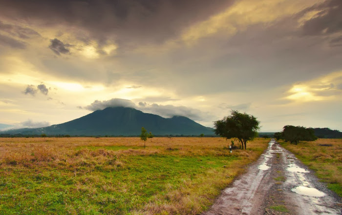 5 Spot Keren Di Taman Nasional Baluran