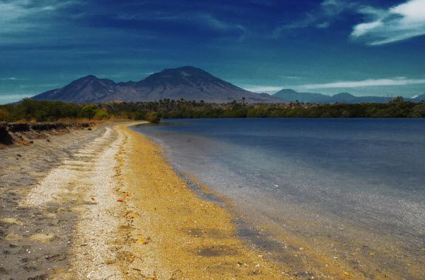 5 Spot Keren Di Taman Nasional Baluran