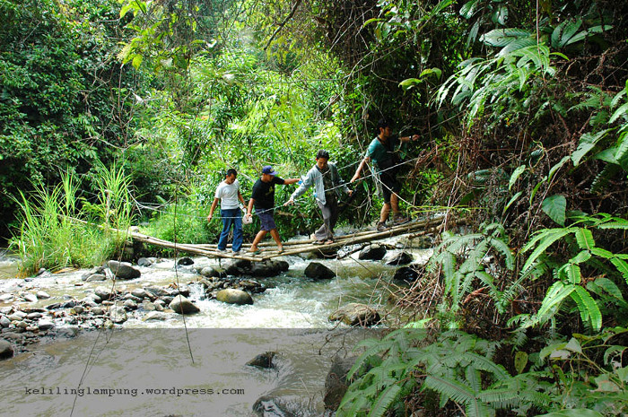 6 Taman Nasional Di Indonesia Yang Telah Masuk Situs Warisan